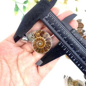 थोक प्राकृतिक शंकु जीवाश्म टुकड़ा इंद्रधनुष एमोनाइट जीवाश्म नमूना आकर्षक हार के लिए - Product Image 3