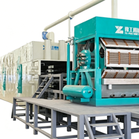 Machine à plateaux à œufs de qualité industrielle YG, capacité de 2500 kg, pour ligne de production de plateaux à œufs à grande échelle