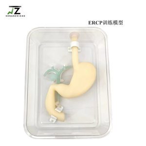 Simulateur de système gastroduodénal et biliaire pour l'enseignement de la science médicale, modèle de formation à l'opération gastroscopique, modèle de formation ERCP - Product Image 2