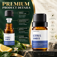 Huile parfumée personnalisée pour diffuseur de voiture, huile de parfum longue durée pour voiture, désodorisant d'air pour voiture, approvisionnement en gros, coffret cadeau d'arômes inspirés des hôtels