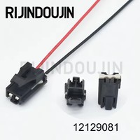 2 Pin Konektor Kabel Listrik Otomotif Betina Dengan Terminal 12129081