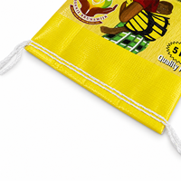 Sacs d'emballage en PP tissé laminé en film BOPP avec impression couleur personnalisée pour farine de blé et riz, 5kg, 10kg, 25kg, avec poignée perforée