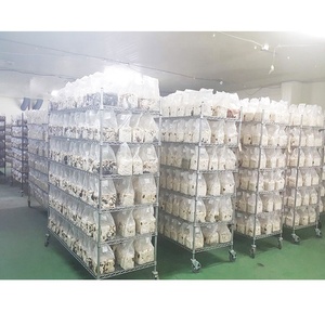 Estante de seta de acero resistente de alambre recubierto de zinc de 6 niveles móvil de buena calidad para cultivo in vitro en estantes - Product Image 2