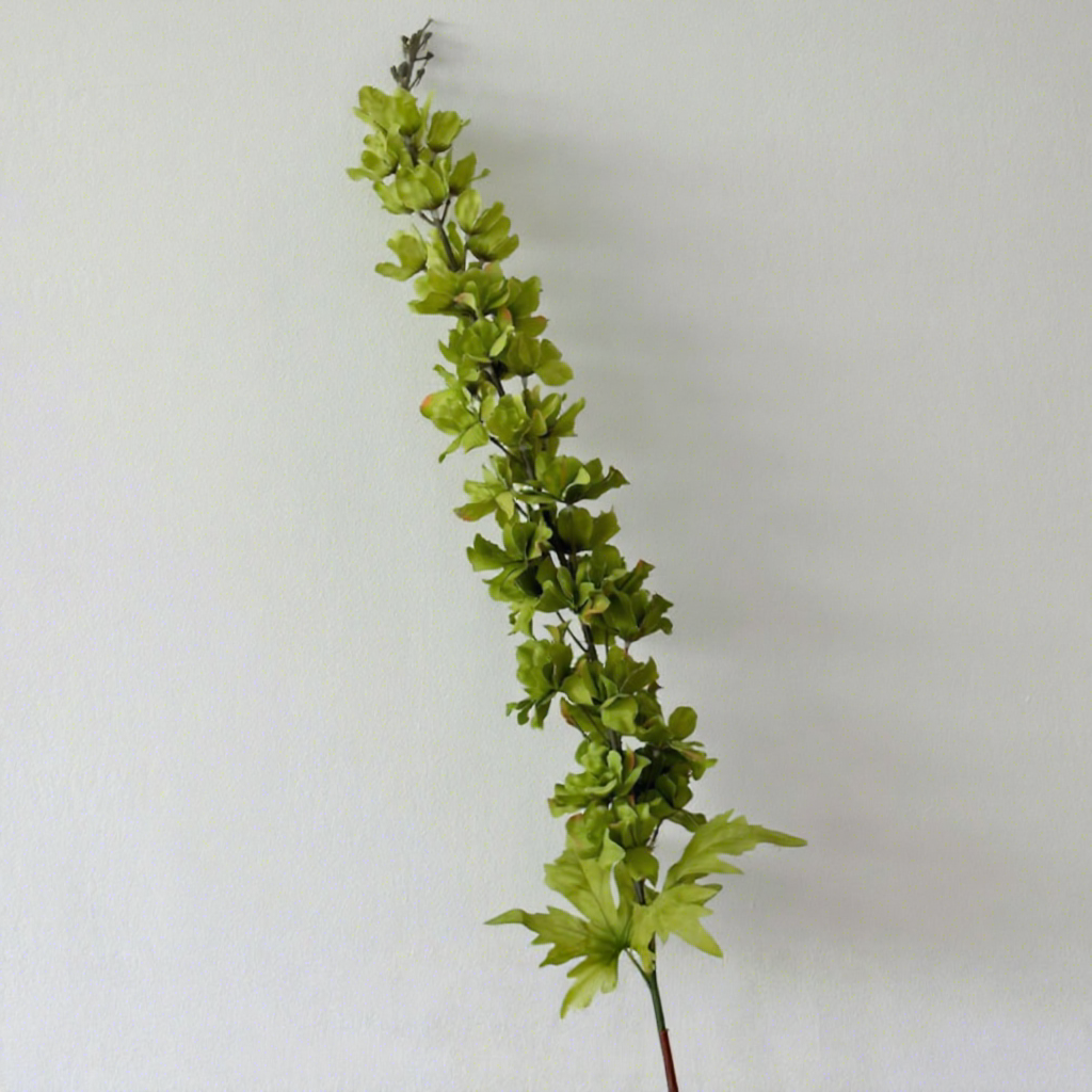 [7] Hirondelle verte à longues branches