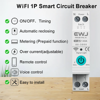 63A Tuya pengukur energi pintar WIFI, untuk rumah pintar, pemantau pengukuran Kwh, pemutus sirkuit, relai pengatur waktu