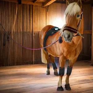 Nuova cintura di terapia fisica per animali domestici I cavalli si prendono cura dello zoccolo vicino all'infrarosso sollievo dal dolore flessibile luce rossa terapia del cavallo Pad per cavallo