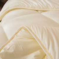 Couettes et ensembles de literie chauds en tissu et rembourrage polyester pour hôtels et maisons d'hôtes – Vente en gros et support MOQ