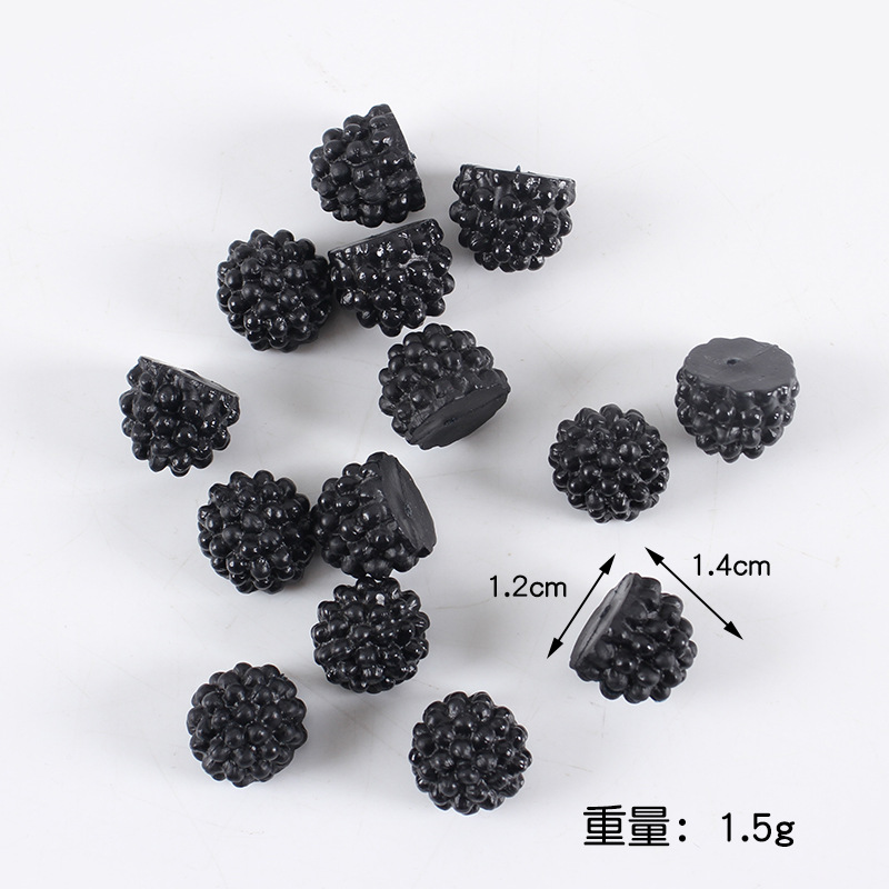 Mûrier noir 14 cm-grand