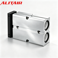 Cylindre pneumatique à double tige série TN ALITAIR avec ou sans aimant – Fournisseurs de vérins pneumatiques à piston série TN