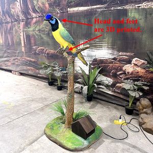 Pájaros africanos: Pájaro <span class=keywords><strong>papamoscas</strong></span> Animatronic de garganta azul personalizado para exhibición - Product Image 5