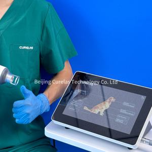 Thérapie laser de classe 4 pour vétérinaire chien chat vétérinaire Animal cheval thérapie laser vétérinaire pour le soulagement de la douleur - Product Image 3