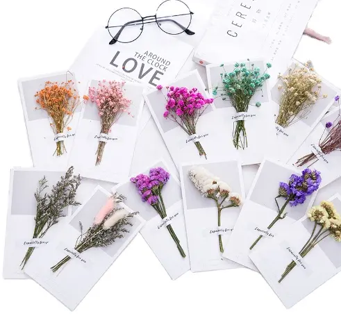 Nouveaux styles bricolage anniversaire fleurs séchées cartes de voeux cartes de voeux manuscrites cartes de remerciement pour la décoration