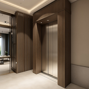 Ascensores <span class=keywords><strong>Dom</strong></span>ésticos para 4 Personas, Elevador Residencial Personalizado - Product Image 5