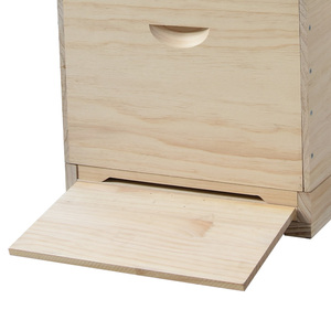 Ruche Langstroth professionnelle à 2 couches, peinte en blanc, en bois de sapin et de pin - Product Image 2