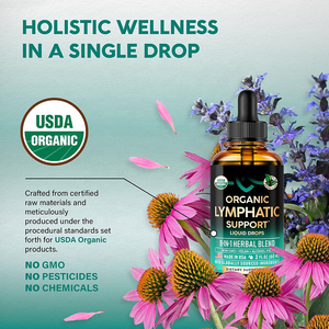 Private Label Herbal NON-GMO Suporte linfático orgânico Drops Mullein Folha <span class=keywords><strong>Extract</strong></span> Suplemento Pulmão & Brônquica - Product Image 6