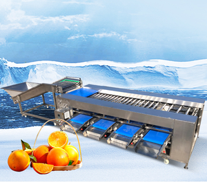 Máquina Clasificadora Automática Comercial de Frutas y Verduras para Aguacate, Tomate, Manzana, Mango, Melón, Patata - Product Image 6