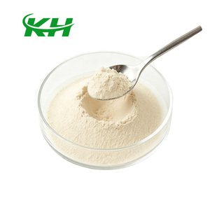 Poudre d'Akkermansia Muciniphila en gros, complément alimentaire, 200 milliards d'UFC/g, poudre AKK - Product Image 2