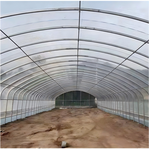 Serre tunnel agricole à structure en acier inoxydable, film plastique PE écologique, pour la culture de tomates, laitues et poivrons - Product Image 3