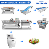 Línea de Procesamiento de Ensaladas de Vegetales de Alta Eficiencia, Línea Industrial de Lavado de Vegetales de Hoja para Fábricas de Vegetales Listos para Comer