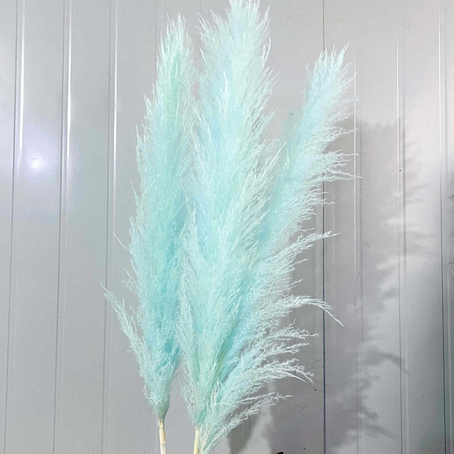Blu-chiaro