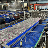 Lait de soja en grains entiers 250ml, faible teneur en sucre, vente en gros, OEM/ODM, marque privée, boisson végétale en conserve, usine chinoise
