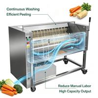 DXC-1000/1500 Wortelgroentewas- en schilmachine van 304 roestvrij staal voor de verwerkingslijn van aardappel, wortel en yam