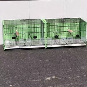 Jaula Apilable para Cría <span class=keywords><strong>de</strong></span> Aves con Divisor, Precio Directo <span class=keywords><strong>de</strong></span> Fábrica, Entrega Rápida para Tiendas <span class=keywords><strong>de</strong></span> Mascotas, Venta al Por Mayor - Product Image 2