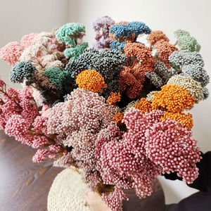 Nouveau Bouquet de Fleurs Séchées et Préservées Mini Fleur de Riz Effet Naturel Haute Qualité Tige Fraîche Décoration Éternelle pour la Maison - Product Image 1