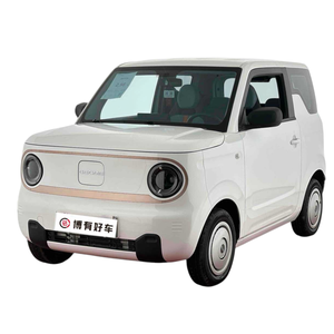 Geely Panda Mini 2023, Endurance Bear, Microcar Elettrica Pura, Hatchback 4 Posti, Autonomia CLTC 200km, Motore 30kW - Product Image 1