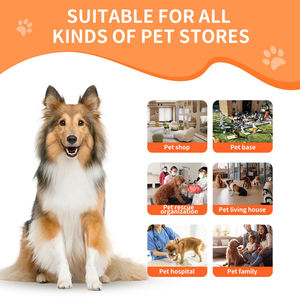 Cabina de Secado para Mascotas de 350L, Moderna, de Lujo, Antibacteriana, de Acero Inoxidable, Ecológica y Duradera, para Salón de Peluquería Canina - Product Image 6
