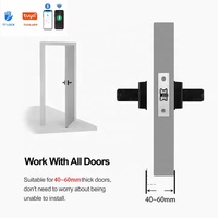 Modern ev kullanımı dijital parmak izi akıllı kapı kilidi Tuya TTLock App uzaktan kumanda şifre kilidini WiFi ağ ile kolu
