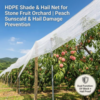 Toile d'ombrage en HDPE, protection contre le gel d'hiver et protection solaire d'été, double fonction, filet de protection pour les cultures maraîchères