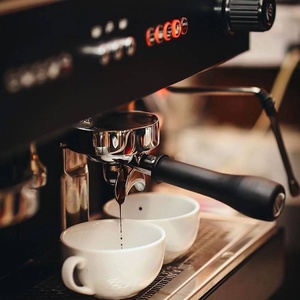 Machine à expresso semi-automatique italienne WEGA Pegaso 2 SY-101 Picasso, double chaudière E61, 3700W, pour tasses hautes, idéale pour les cafés (1. WEGA italienne) - Product Image 5