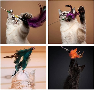 Nuova Bacchetta Interattiva per <span class=keywords><strong>Gatti</strong></span> Lunga 64CM con Molla Premium e Campanello, Giocattolo con Piume per Stuzzicare <span class=keywords><strong>Gatti</strong></span> e Gattini - Product Image 6