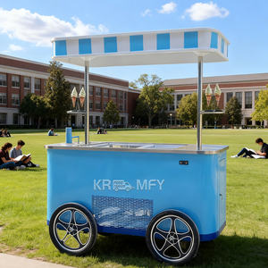 Fabricants de congélateurs à glace miniatures commerciaux de 109 L pour 2025 - Product Image 5