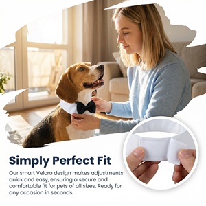 Pañuelo de Alta Calidad para Perro, Multicolor, para Fiestas de Cumpleaños, Collar para Mascotas - Product Image 2