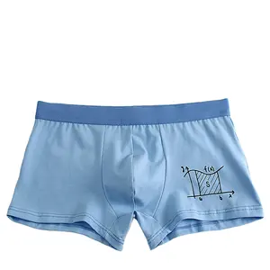 Wholesale Custom Logo Cartoon teenager boy cool boxers youth school boys underwear underpants men's boxers briefs