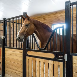 Box de Luxe Européen Portable pour <span class=keywords><strong>Chevaux</strong></span> 12ft/3.6m 3.5m 3m – Écuries Mobiles Élégantes pour <span class=keywords><strong>Chevaux</strong></span> avec Garantie de 2 Ans - Product Image 2