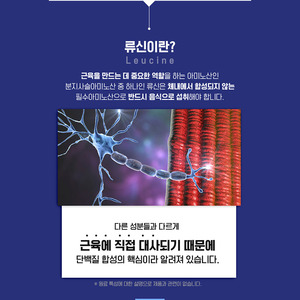 Proteína de Leucina OEM 1200 800mg 60 Tabletas - Suplemento Premium de Energía y Aminoácidos para Estimular el Metabolismo Masculino ODM - Product Image 2