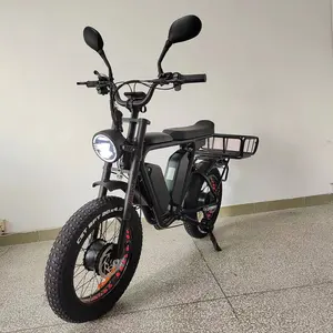 Electric Road Bike 52V Dual Battery Dual Motor 44Ah 2000W Electric City Bike /Electric Mountain Bike/ Electric Cargo Bike