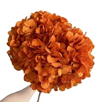 Bunga Abadi Warna Musim Gugur Hydrangea Yunnan Daun Besar Awetan Batang Tunggal untuk Dekorasi Pernikahan