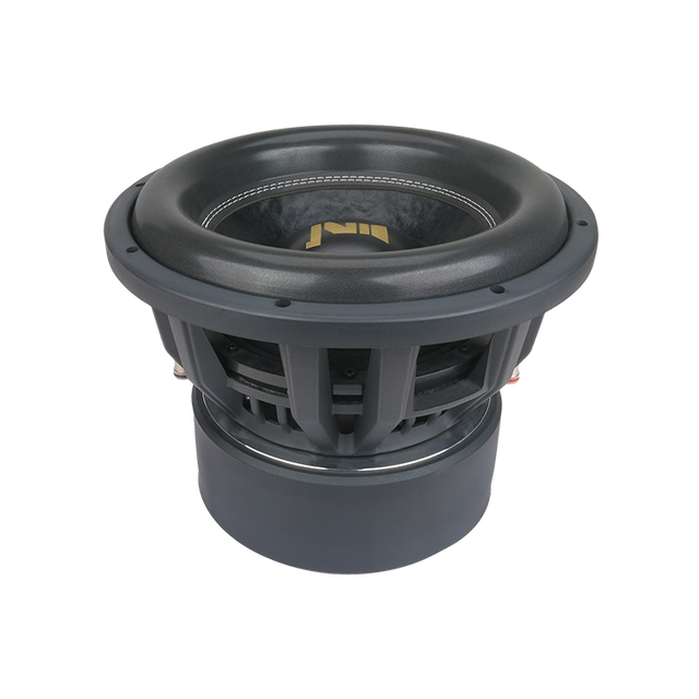 12Inch 1500W Black Audio Subwoofer Preamplifier Preamp for Car SDQ12 Model Can Be Customizable