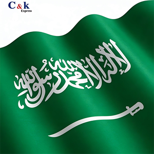 Trasporto Marittimo Migliore Servizio LCL+Express Porta a Porta dalla Cina a Riyadh, Arabia Saudita - Product Image 1