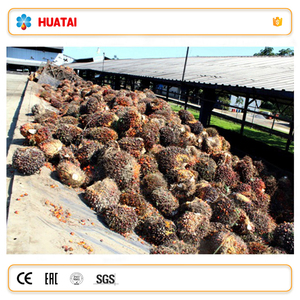 Ligne de production complète d'huile de palme 2TPH pour moulin de traitement d'huile de palme avec machines de raffinage en option - Product Image 1