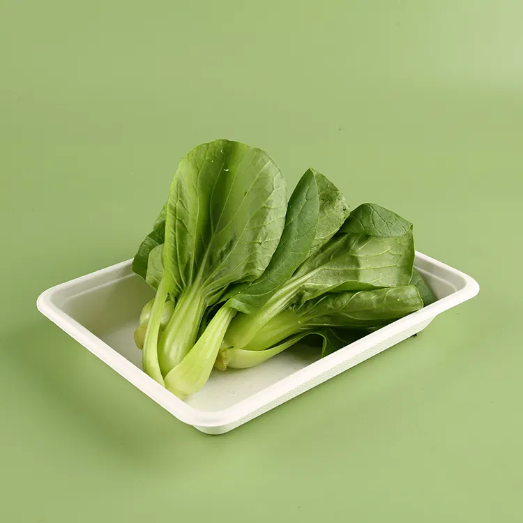 Eco Friendly Recycle Pack Disposable Ecopack Biodegradable Freshware Meal Ecopack Food Packaging Meal Tray