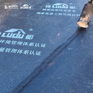 Roof Building Swimming Pool Water Intrusion <b>Bitumen</b> SBS Elastomer Modified Asphalt Waterproof Membrane Rolls 3mm Modern - Product Image 3