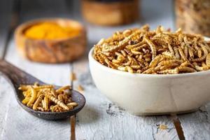 Vermi della farina secchi <span class=keywords><strong>Tenebrio</strong></span> Molitor per rettili di criceto e altri piccoli animali - Product Image 2