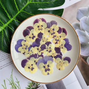 Pansy fragante en relieve esquina planta espécimen <span class=keywords><strong>flores</strong></span> secas y plantas marcos de fotos conchas de teléfono móvil disponibilidad al por mayor - Product Image 1