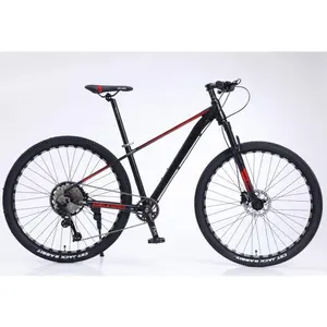 China Hochwertige Hydraulik scheibe 29 Zoll 12-Gang-Kassette Aluminium legierung MTB 29er Mountainbike Fahrrad Fahrrad für den Menschen