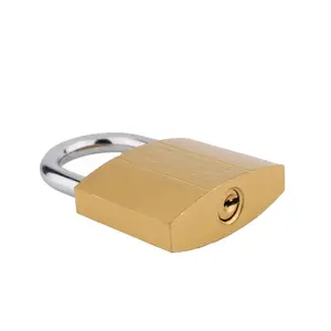 도매 전기 융합 자물쇠 사용자 정의 수락 저렴한 재고 20mm BOX 포장 스프레이 페인트 구리 자물쇠